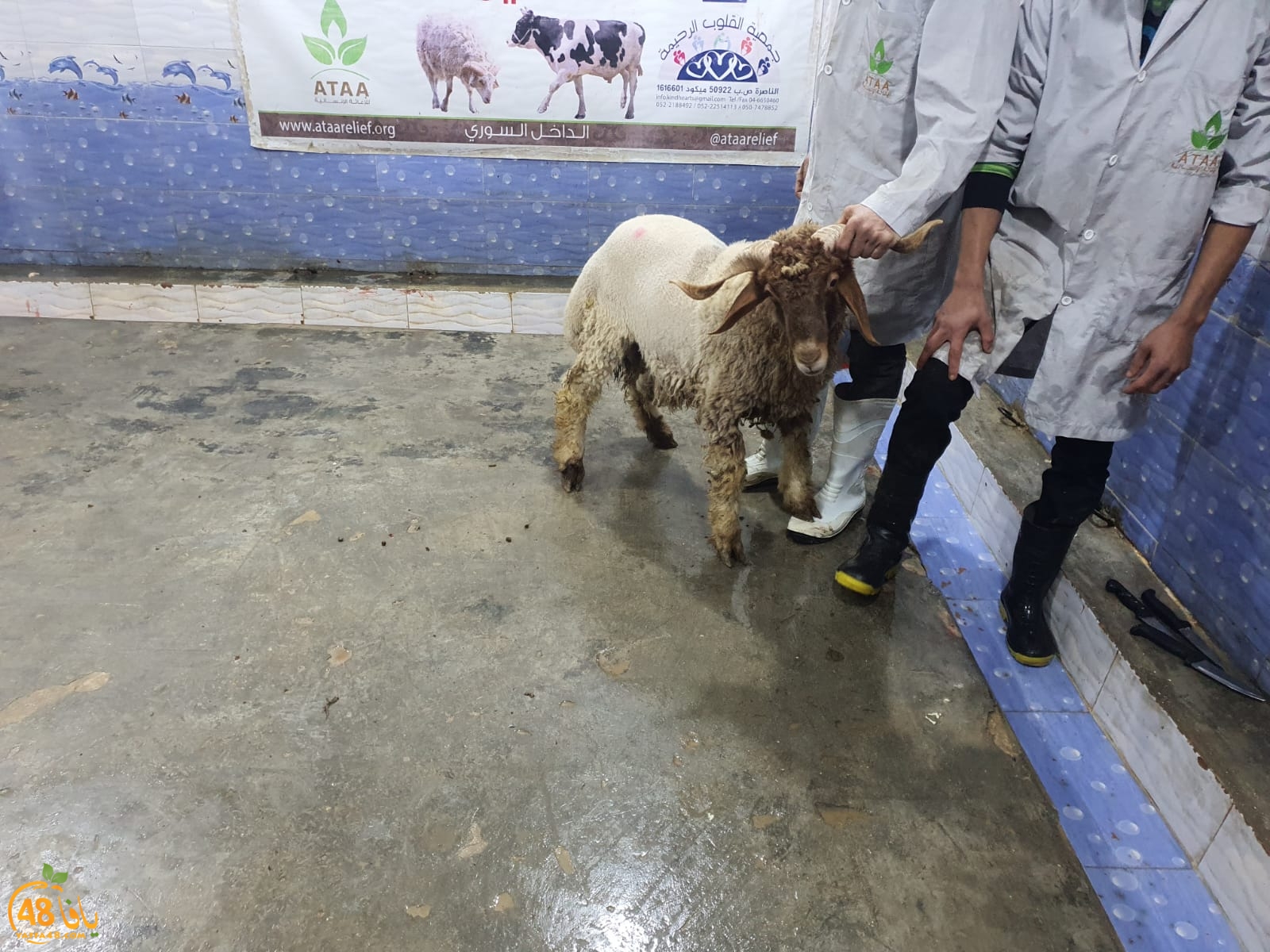 WhatsApp Image 2021-01-27 at 7.15.34 AM (1).jpeg